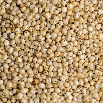 Sorghum Millet