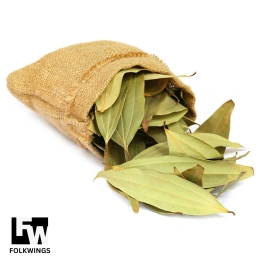 Bay Leaf ( Tej Patta)