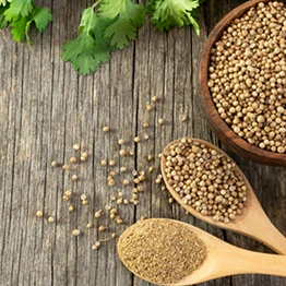 Coriander Seeds