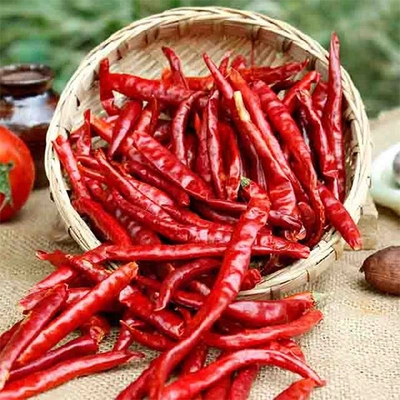 Dry Red Chilli