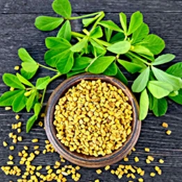 Fenugreek Seeds