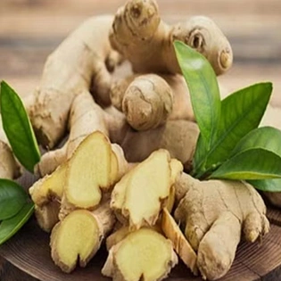 Fresh Ginger