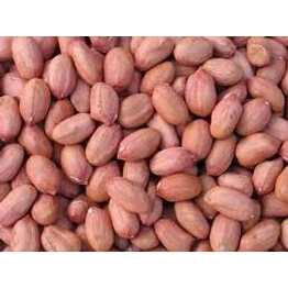 Groundnut Peanut Bold 50/60