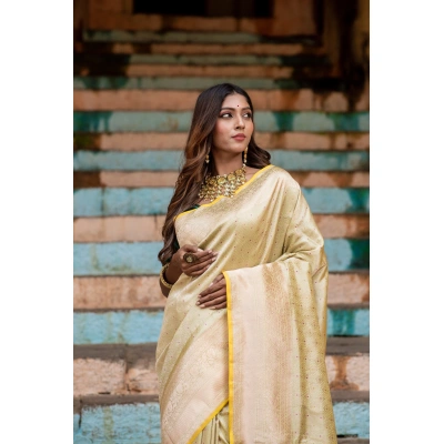 Pure Katan Tanchoi Banarasi Handloom Saree