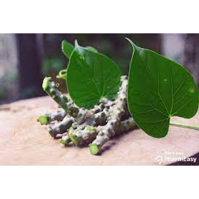 Giloy (tinospora cordifolia)