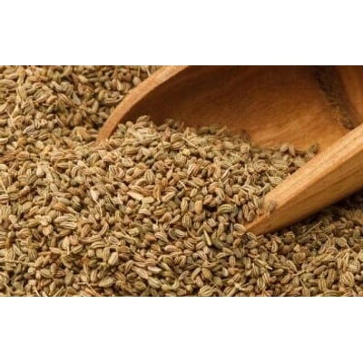 ajwain (trachyspermum ammi)