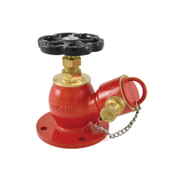 Zoloto Landing valve (fire hydrant valve)