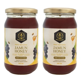 Shiva Organic Jamun Honey 1kg