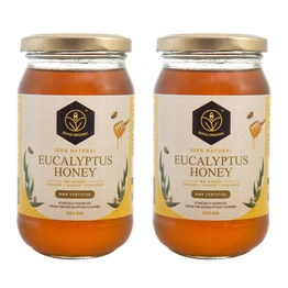 Shiva Organic Eucalyptus Honey 1kg