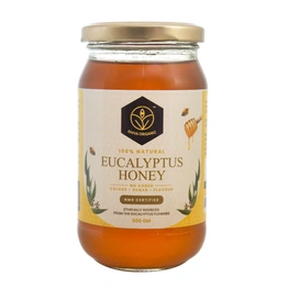 Shiva Organic Eucalyptus Honey 500g