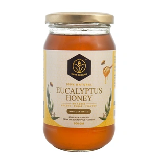 Shiva Organic Eucalyptus Honey 500g