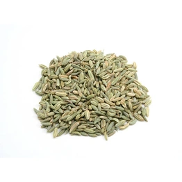 Fennel Seeds