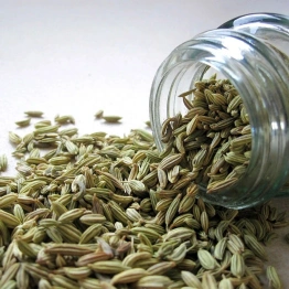 Fennel Seeds