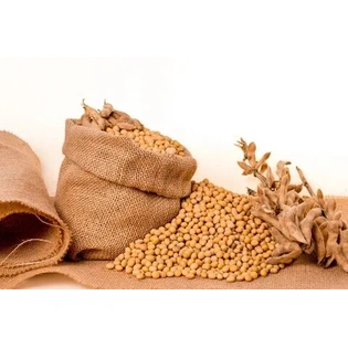 Soybeans & Pulses