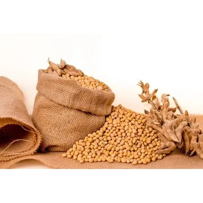 Soybeans & Pulses