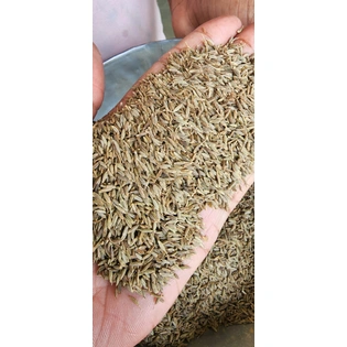 Cumin Seeds (Singapore 99.9% Machine Clean)