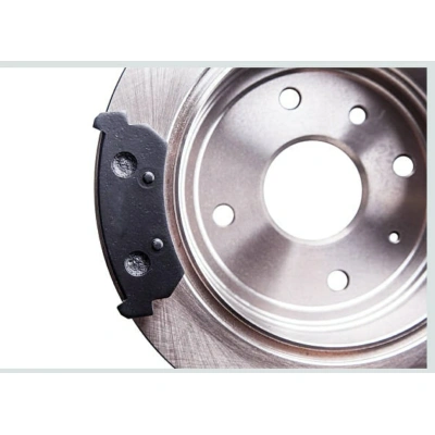 Disk Brake Plate