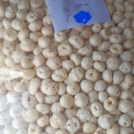 Fox Nuts/Puffed Lotus Seeds (Makhana)