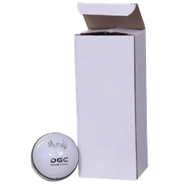 DGC Cricket Leather Ball