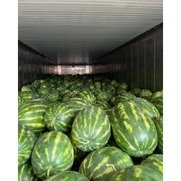 WATERMELONS