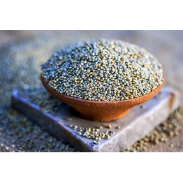 Pearl Millet ( Unpolished Grains )