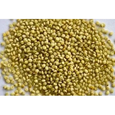 BrownTop Millet ( Unpolished Grains )