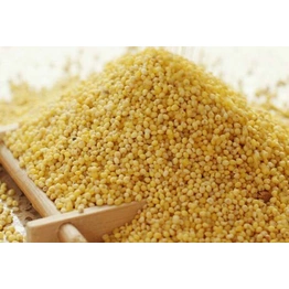 Foxtail Millet ( Unpolished ) / Yellow Millet