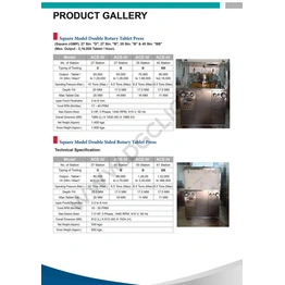 Double Rotary Tablet Press Machine