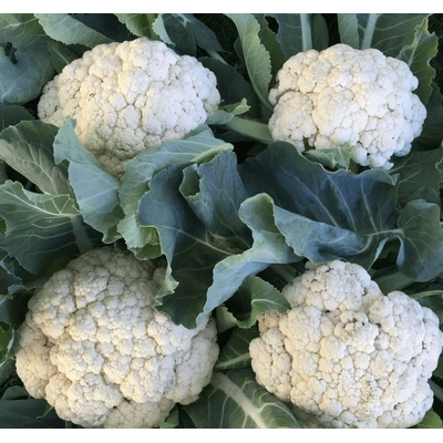 Cauliflower