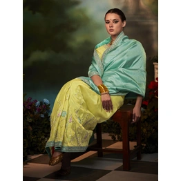 Luxeloom Saree | Bollywood Saree