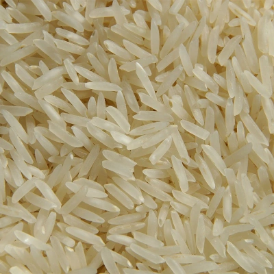 Kolam Rice