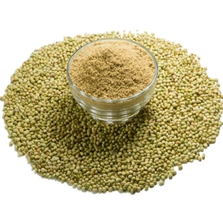 Coriander Seeds