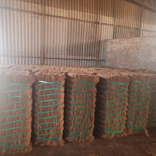 Coir Brown Fiber