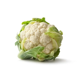 Geeta Seeds Hybrid F1 Cauliflower Seeds KGP