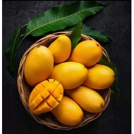 Gir Origin Kesar Mangoes