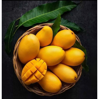 Gir Origin Kesar Mangoes