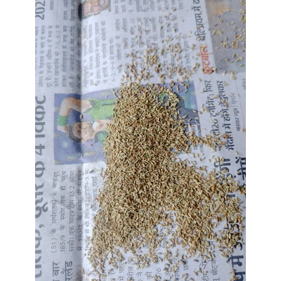 Indian Carom seed