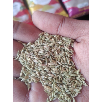 Fennel seed