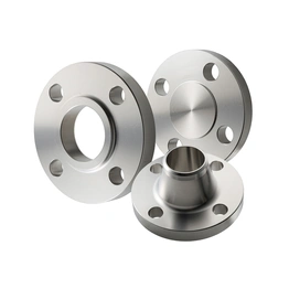 Stainless Steel Flanges