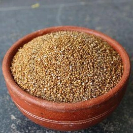 Foxtail Millet - Kangni