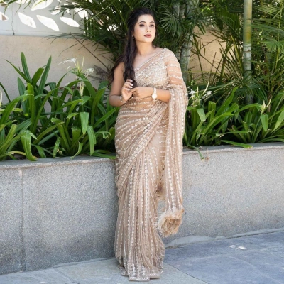 Elegant Soft Net Saree with Sequins Embroidery & Feather Lace Pallu, Net Blouse Included