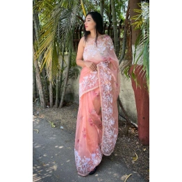 Organza Saree with Embroidery and Piping Details