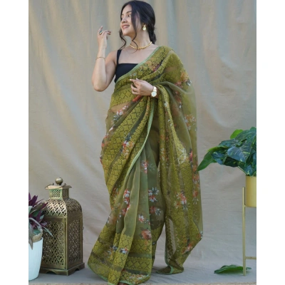 Floral Chikankari Organza Saree with Satin Blouse