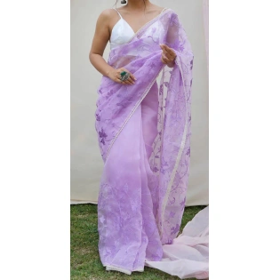 Beautiful Embroidered Organza Saree with Full Lace Border and Ready-made Blouse