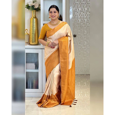 YNF Soft Silk Saree with Rich Pallu and Intricate Jacquard Work