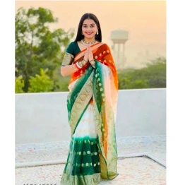 Elegant Kora Orgenza Jacquard Saree with Pure Zari Weaving