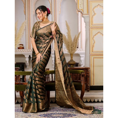 YNF Regal Charm: Pure Organza Saree with Enchanting Tassels and Intricate Brocade