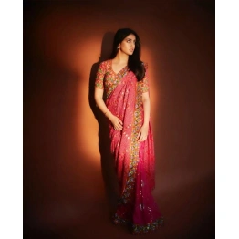 Pallu Bandini Saree with Colorful Embroidery & Sequins