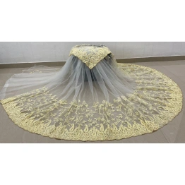 Embroidered Butterfly Net Saree with Diamond Work