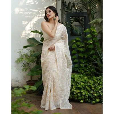 Pure Soft Off-White Silk Organza Saree: Elegant Lucknowi Embroidery & Silver Zari, Stunning Contrast Border